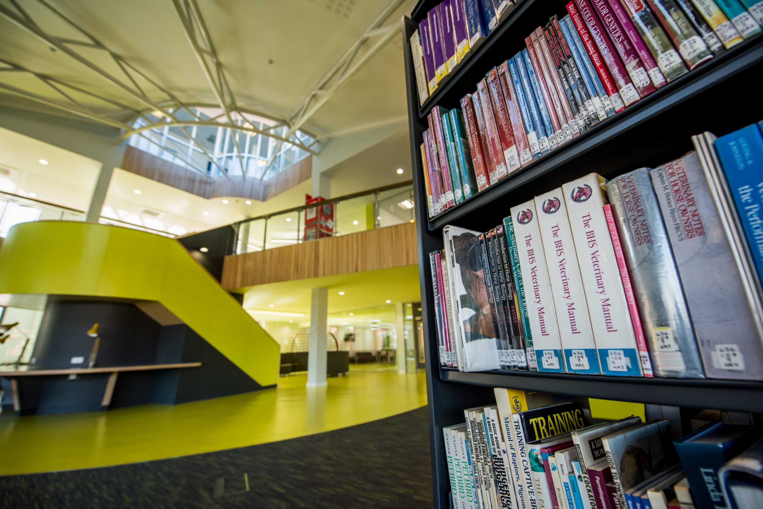 library study area